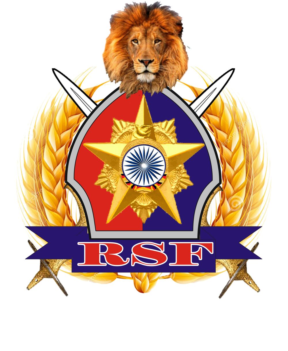 RSF logo